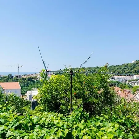 Mara 杜布罗夫尼克